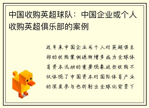 中国收购英超球队：中国企业或个人收购英超俱乐部的案例